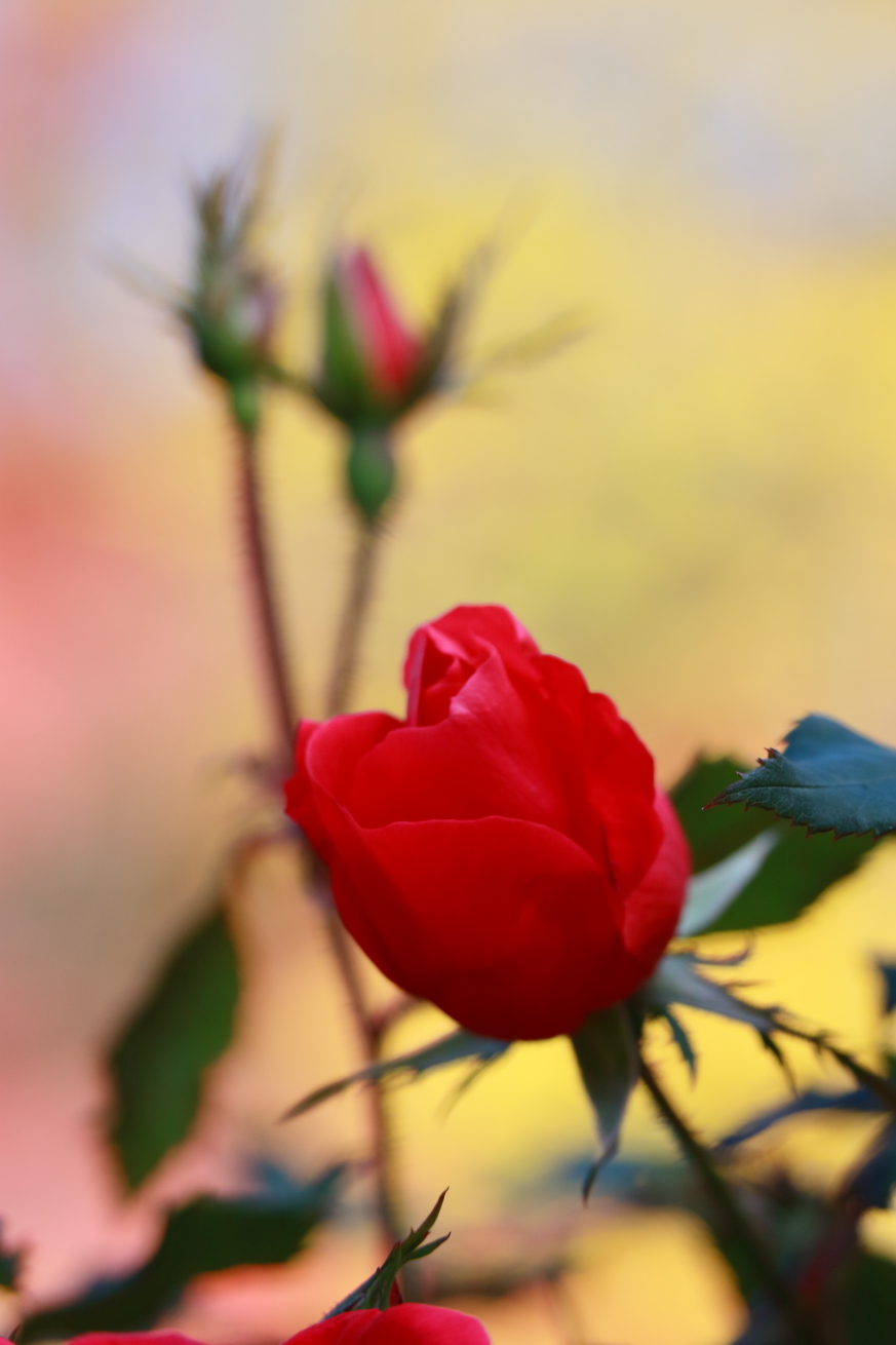2014 11 14 HTP 000002717